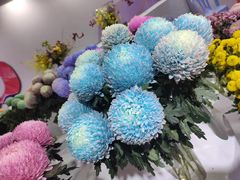 -东南花都花博园