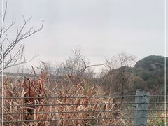-东海半边山旅游度假区