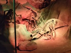 -正佳自然科学博物馆