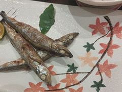 -黑松白鹿(金融街店)