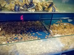-烎记烧烤(蓝天花园店)