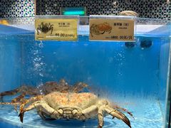 -city'super超·生活(国金中心商场店)