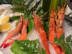 -Mr.Fish鱼鲜生海鲜放题(高德置地冬广场店)