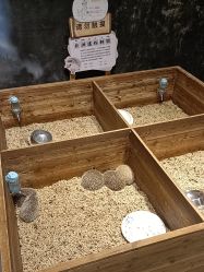 -酷嗒动物文化乐园(cutezoo西溪乐天城店)