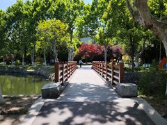 -泰州凤城河风景区-泰山公园