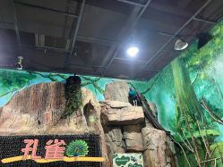 -宝燕乐园(闵行旗舰店)