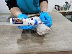 -荔康动物医院(康王北路店)