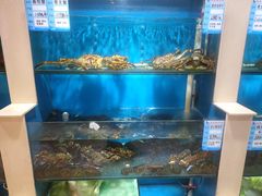 水产区-福泉海码头(六里山店)