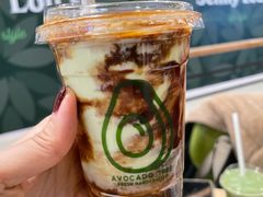 -油梨树AVOCADO TREE(嘉里中心店)