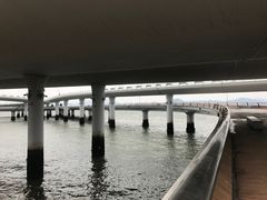 -演武大桥观景平台