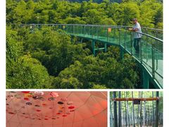 -陶祖圣境风景区