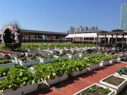 -三分地生态园·儿童乐园