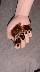 -悦指间美甲美睫美肤