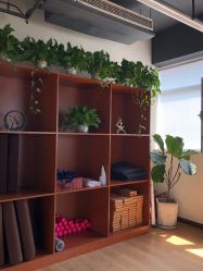 -兰瑜伽·普拉提