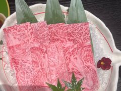 -龙吟大江户(华侨店)