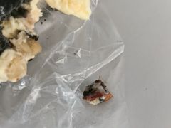 -卡滋贝诺动物奶油生日蛋糕(常熟万达店)
