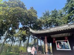 -梅园