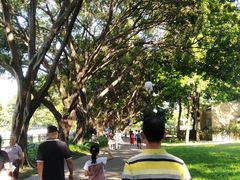 -晓港公园