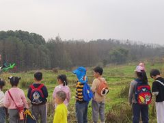 -宾果蒙特梭利托育儿童之家幼儿园(爱琴海店)