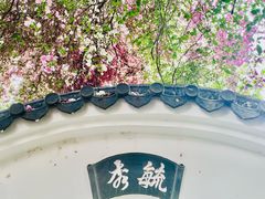 -深圳国际园林花卉博览园