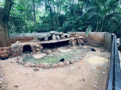 -海南热带野生动植物园