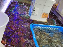 -盒马鲜生(财富中心店)