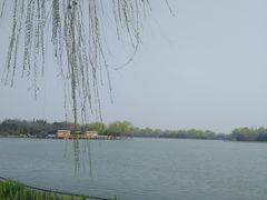 -洛阳市隋唐城遗址植物园