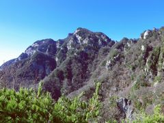 -王顺山国家森林公园