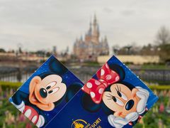 -上海迪士尼度假区