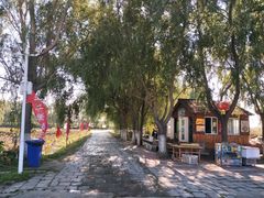 -白渔泡湿地公园