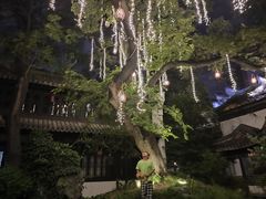 -南京市民俗博物馆(甘熙宅第)