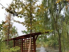 -白鹭湾湿地公园