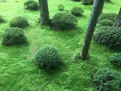 -西芳寺(苔寺)