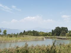 -野鸭湖国家湿地公园