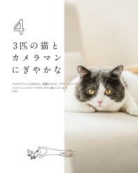 -ZOO KIDS象集摄影工作室(西城公馆店)