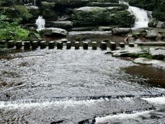 android_upload_pic-黄荆老林