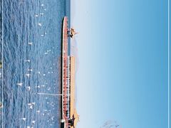 -洱海月湿地公园