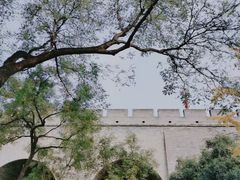 -西安城墙·碑林历史文化景区