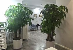 -一个差评成就的纹眉店