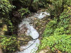 -青城山