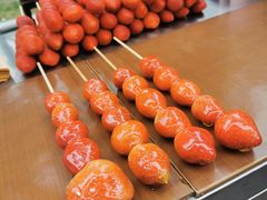 -凤城·食都