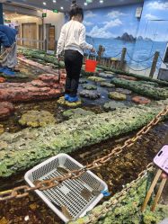 -钓虾工场·钓虾·赶海(回龙观店)