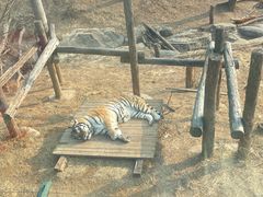 -大连森林动物园