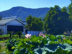 -国家植物园南园