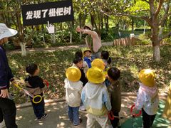 -惠洛克国际儿童之家(绿博园中心)