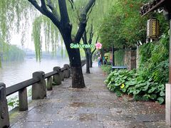 -运河游船(武林门码头)