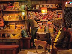 -城墙外BAR