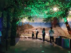 -芜湖新华联大白鲸海洋公园