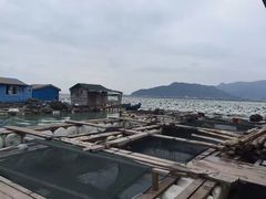 -罗源湾8号渔排