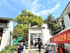 -春娟茶楼·地道农家菜(梅家坞店)